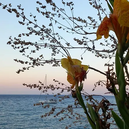 Areti Holiday home Skala (Kefalonia)